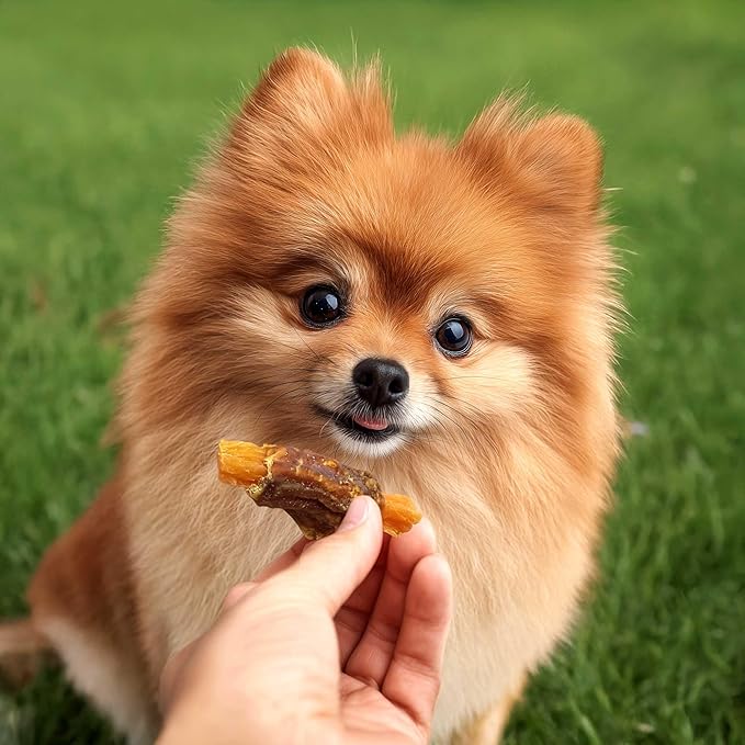 Pet 'n Shape Sweet Potato Chews Jerky Dog Treats - 8 Ounce
