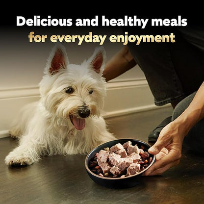 Cesar Classic Loaf in Sauce Adult Wet Dog Food Top Sirloin Flavor, Wet Food for Dogs, 3.5 oz Easy Peel Trays, 24 Count