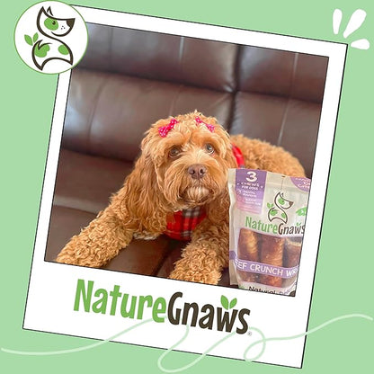 Nature Gnaws Beef Trachea Crunch Wraps for Dogs (3 Count) - Long Lasting Natural Beef Jerky Dog Chew Bones - Rawhide Free