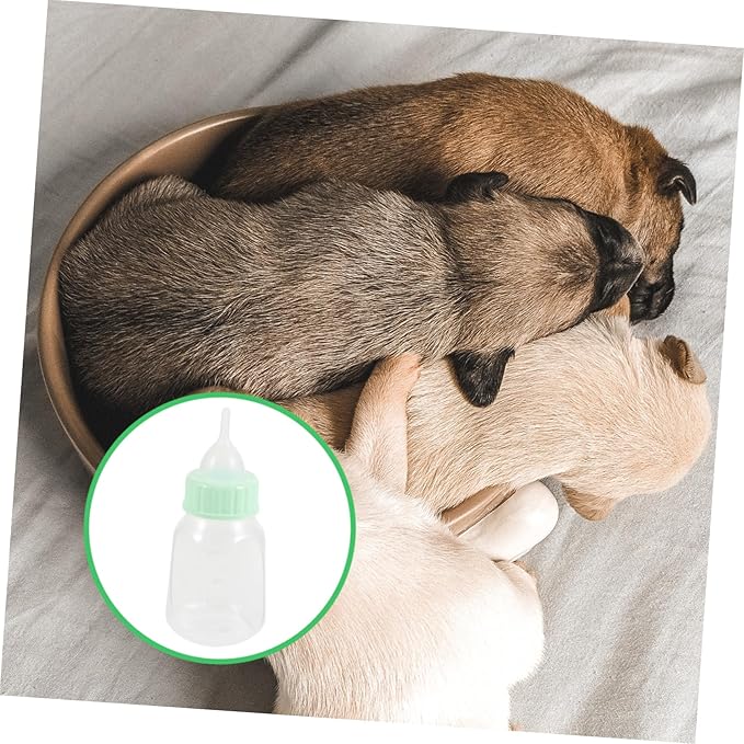 Pet Nursing Bottle Set Puppy Kitten Feeder Bottle Leak Design for Milk Replacer Kitten Nursing