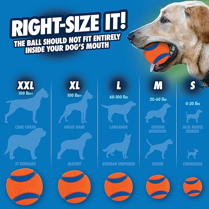 Chuckit! Ultra Ball Dog Toy, Balls for Dogs to Fetch, Durable Rubber, Small 2-inch, Pack of 2