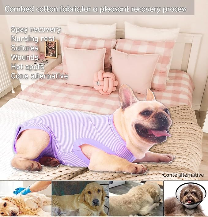 Dog Recovery Suit Purple Female Spay Surgical Small Shirt, Male Surgery Recovery Suit,Purple-White Striped S