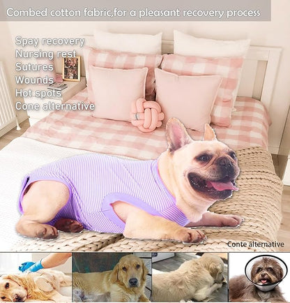 Dog Recovery Suit Purple Female Spay Surgical Medium Shirt, Male Surgery Recovery Suit,Purple-White Striped M