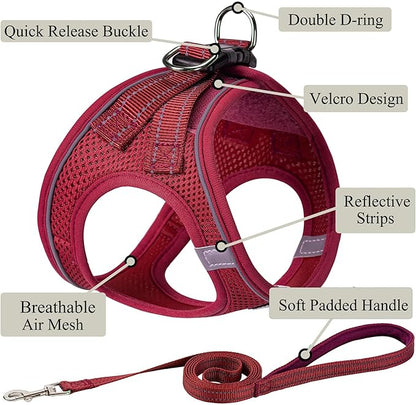 Dog Harness with Leash Set, No Pull Adjustable Reflective Step-in Puppy Pet Vest Harnesses for Small Medium Large Dogs and Cats,Red XL