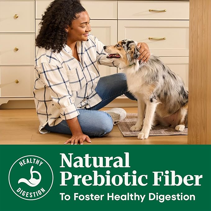 Nutro Natural Choice Dry Dog Food, Adult Dog Food Dry Beef and Brown Rice Recipe, 4.5 lbs.