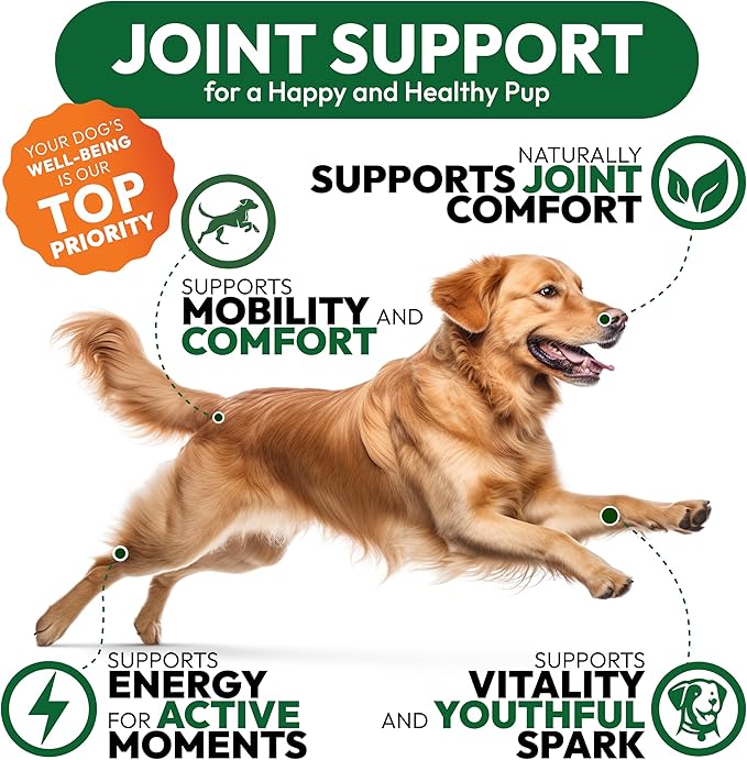 Hemp Hip and Joint Supplement for Dogs - Glucosamine for Dogs - 170 Mobility Support Chews - Advanced Joint Pain Relief Treats with Chondroitin, MSM, Turmeric - Large & Small Breeds - Made in USA