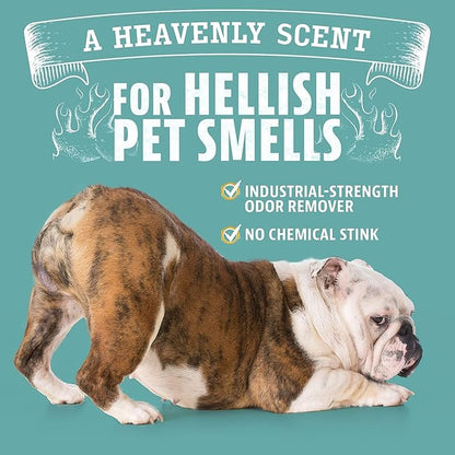Angry Orange Pet Odor Eliminator for Strong Odor - Citrus Deodorizer for Strong Dog or Cat Pee Smells on Carpet, Furniture & Indoor Outdoor Floors - 2 Pack - Puppy Supplies