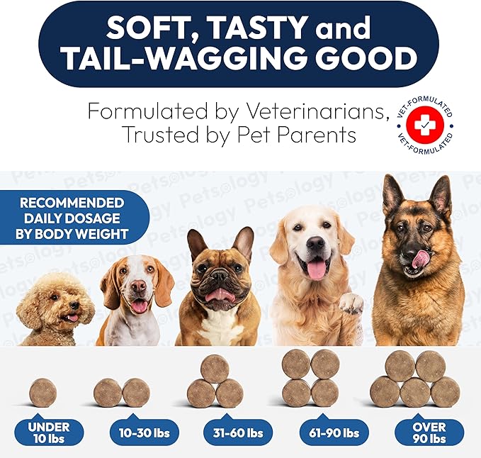 Anal Gland Support Chews for Dogs - 170 Ct - Scoot Treatment - Dog Anal Gland Supplement - Pumpkin, Psyllium Husk, Fiber - Supports Gut Health & Stool Quality - Digestive Enzymes - Made in USA