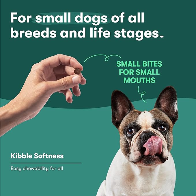 Jinx Premium Dry Dog Food Small Breed - Real Salmon & Sweet Potato Kibble with Superfoods for Immune Support & Probiotics for Digestive Support - No Fillers – 4lb