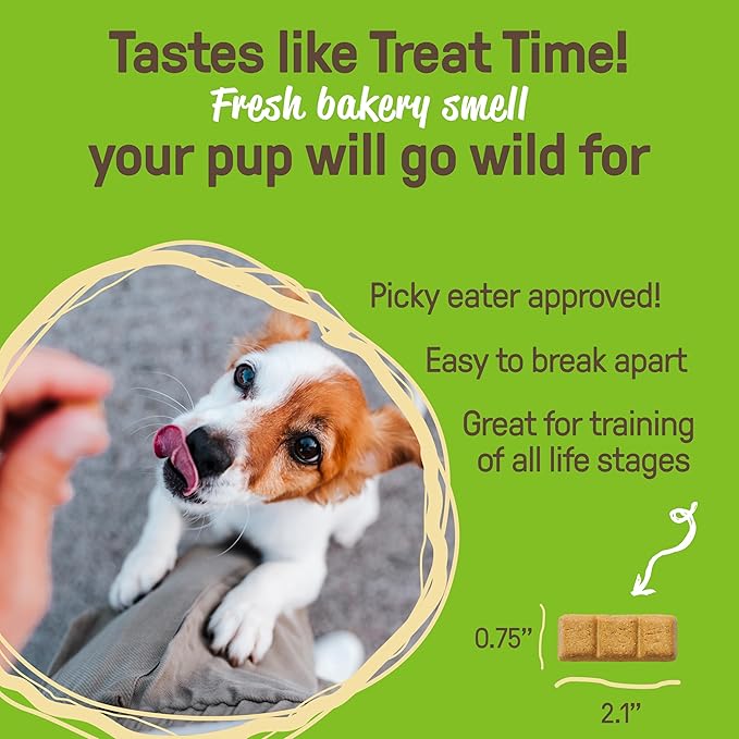 CookiePal Pumpkin Dog Treats with Chia, Human Grade USDA Organic Dog Training Treats, Crunchy Natural Puppy Training Biscuits, 10oz (Pk of 3)