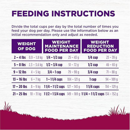 Wellness Complete Health Healthy Weight Small Breed Adult Dry Dog Food, Wholesome Grain Kibble, Natural, Turkey and Brown Rice Recipe, 12 lb Bag
