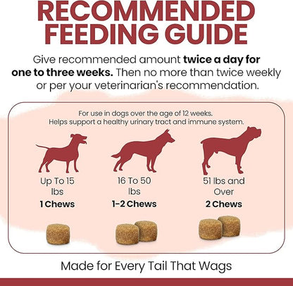 Dog UTI Treatment Cranberry Supplement for Dogs, 120 Soft Chews - Natural Urinary Tract Infection Support and Healthy Bladder Control – Made with Echinacea and Vitamin C