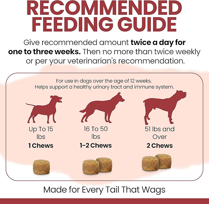 Dog UTI Treatment Cranberry Supplement for Dogs, 240 Soft Chews - Natural Urinary Tract Infection Support and Healthy Bladder Control – Made with Echinacea and Vitamin C (2 Packs of 120)