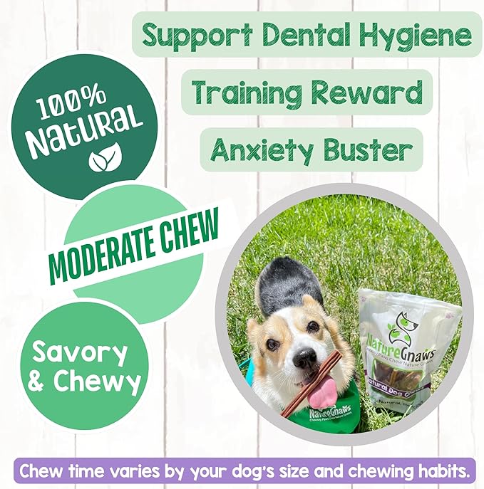 Nature Gnaws Super Skinny Bully Sticks for Small Dogs 5-6" (15 Count) - Long Lasting for Light Chewers and Puppies - Extra Thin Natural Beef Dog Chew Treats