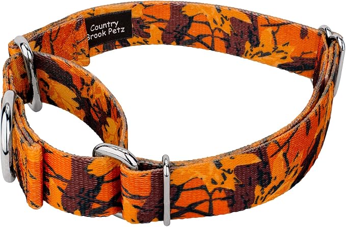 Country Brook Petz - Orange Sunset Camo Martingale Dog Collar and Leash - Camouflage Collection Featuring Rugged Designs (1/2 Inch, 2XS)