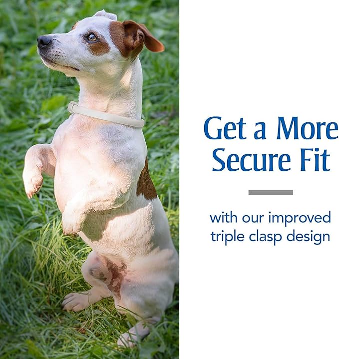 PetArmor Flea & Tick Collar for Dogs, Kills Fleas & Ticks, Long Lasting Protection for 6 Months, Water Resistant, One Size Fits All.