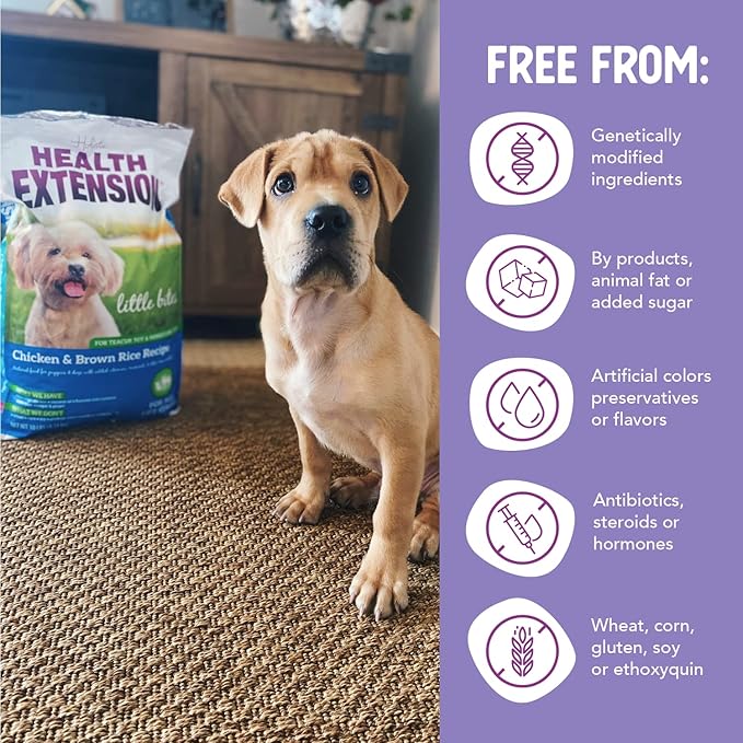Health Extension Little Bites Dry Dog Food for Toy and Small Breeds, Chicken & Brown Rice Recipe, with Probiotics & Superfoods for Digestion & Coat Health, 10 lb Bag