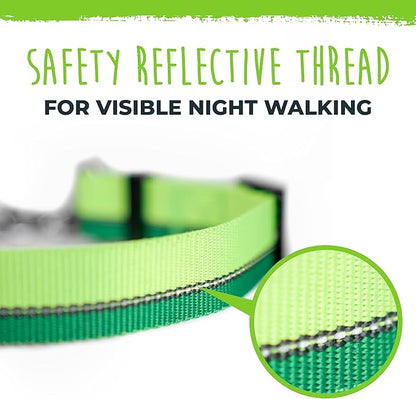 Mighty Paw Martingale Dog Collar 2.0 | Trainer Approved Limited Slip Collar with Stainless Steel Chain & Heavy Duty Buckle - Modified Cinch for Gentle & Effective Pet Training - S/M, Green