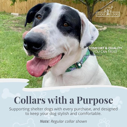 Lucky Love Dog Martingale Collar, Premium No Slip Martingale Collar for Large Boy Dogs, Great for Whippets, Greyhounds, and More (Large, Blue Laguna)