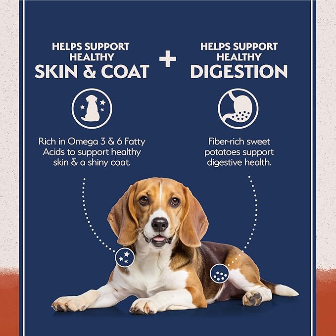 Natural Balance Limited Ingredient Adult Grain-Free Dry Dog Food, Salmon & Sweet Potato Recipe, Single Protein, Sensitive Stomach & Skin Support that is Vet Recommended, 24lb (Pk of 1)