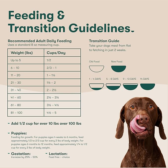 Jinx Premium Grain-Free Dry Dog Food, for All Lifestages - Real Chicken, Sweet Potato & Carrot Kibble with Superfoods for Immune Support & Probiotics for Digestive Support - No Fillers - 11.5lb