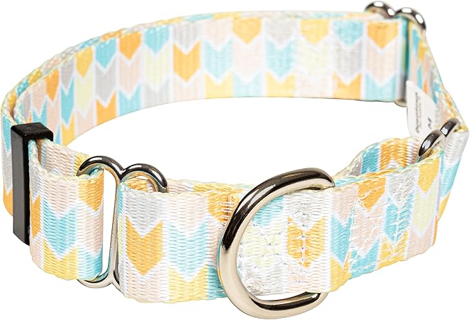 Downtown Pet Supply - Martingale Collar for Dogs - Dog Training Collar - Big, Wide & Thick Dog Collar - Escape-Proof, Weatherproof, Durable and Comfortable - Chevron - Large Dog Collar