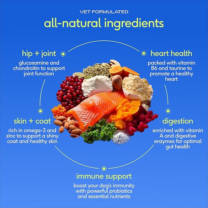 Native Pet The Daily Dog Vitamins & Supplements - 11-in-1 Multivitamin Powder for Dogs - Supports Whole Body Health, Digestion, Mobility & Immunity with Collagen, Glucosamine & Probiotics –120 Scoops