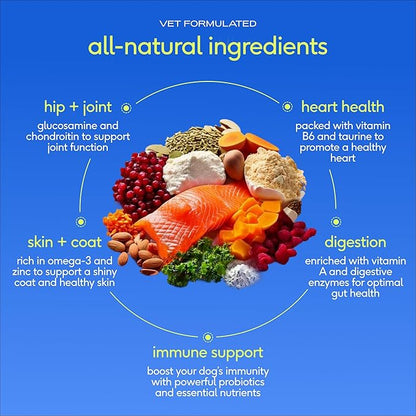 Native Pet The Daily Dog Vitamins & Supplements - 11-in-1 Multivitamin Powder for Dogs - Supports Whole Body Health, Digestion, Mobility & Immunity with Collagen, Glucosamine & Probiotics – 30 Scoops