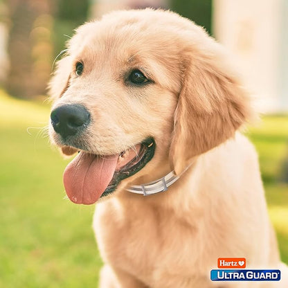 Hartz UltraGuard Plus Flea & Tick Collar for Dogs and Puppies, 7 Month Flea and Tick Prevention and Protection Per Collar, Reflective Orange, up to 22 Inch Neck (Pack of 2)