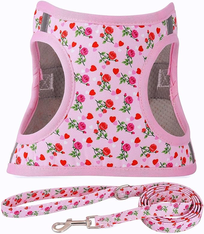 Moonpet Step in Valentine's Day Dog Harness Leash Set- All Weather Reflective No-Pull Floral Pattern Padded Mesh Vest Harness for Cats Puppy Extra-Small Small Medium Large Dogs - Heart Rose - L