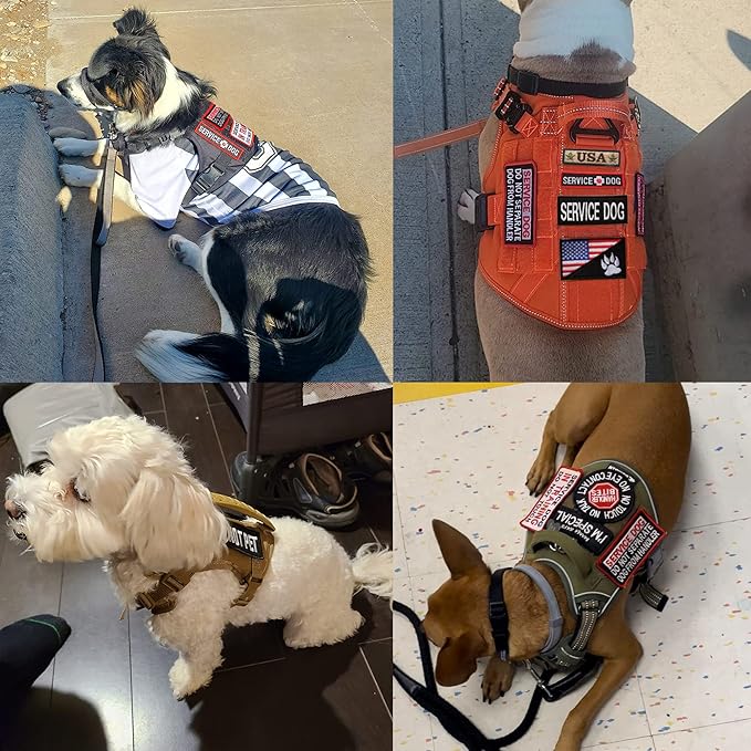 12 PCS Service Dog Patches Removable Tactical Hook Loop Harness Embroidered in Training Patch Do Not Pet Working Dog Patch for Vest Harnesses Collars Leashes