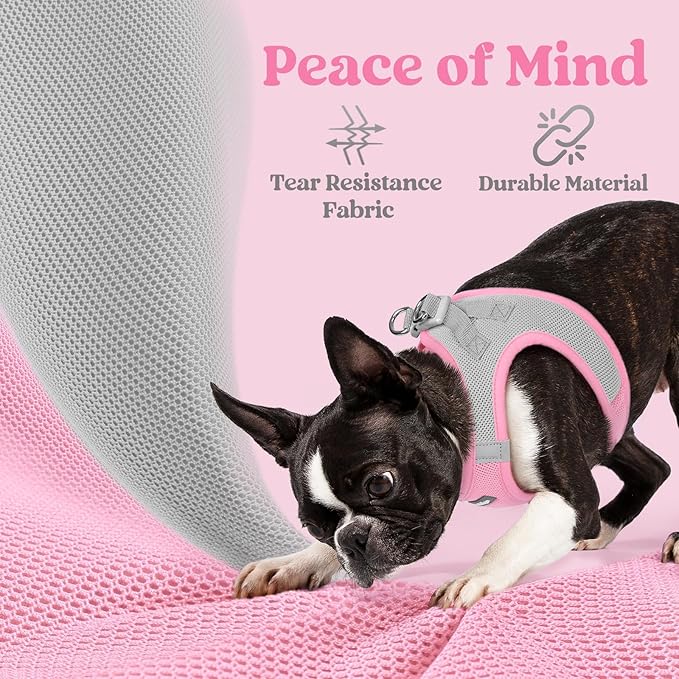 rabbitgoo Small Dog Harness, Step-in Soft Mesh Puppy Vest with Safety Buckle, Breathable Reflective Pet Harness for Small Sized Dogs, Pink & Gray M