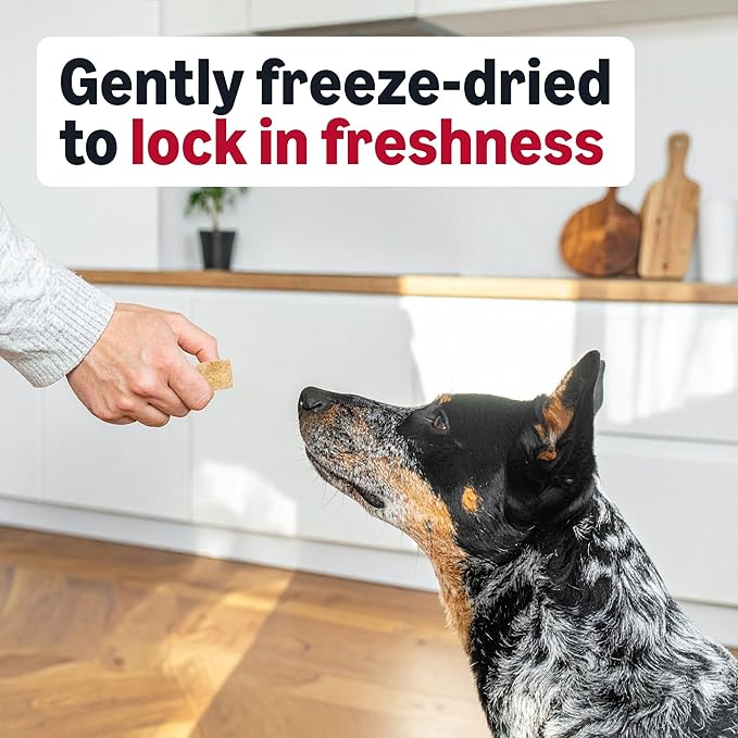 Amazon Basics Freeze-Dried Raw Single Ingredient Dog Treats (Previously Wag), Beef Liver, High Protein, Grain-Free, 3.3 Ounce (Pack of 1), Packaging may vary