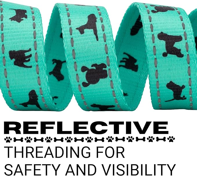 EcoBark Dog Leash - Soft & Reflective Comfort Leashes with Padded Handle - Safe, Strong, & Durable for Small, Medium or Large Dogs (Turquoise)