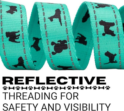 EcoBark Dog Leash - Soft & Reflective Comfort Leashes with Padded Handle - Safe, Strong, & Durable for Small, Medium or Large Dogs (Turquoise)