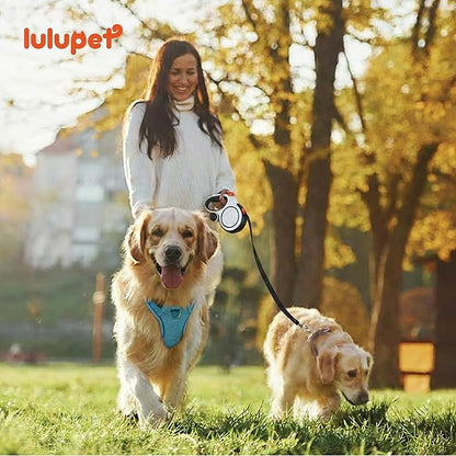 3 in 1 No Pull Dog Harness Leash and Collar Set, Soft Adjustable Dogs Vest Reflective and Comfortable Handle Blue Large