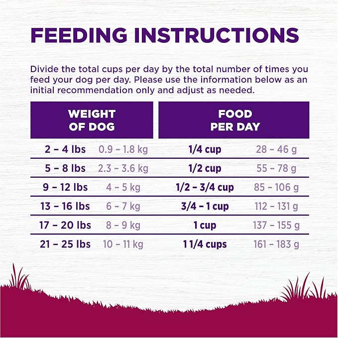 Wellness Complete Health Small Breed Adult Dry Dog Food, Grain Free Kibble, Chicken and Salmon Recipe, 4 lb Bag