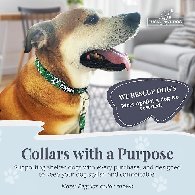 Lucky Love Dog Collar and Leash Set, Beautiful & Vivid Patterns, Easy On & Off Clasp Accessory (Blue Laguna, L Combo)