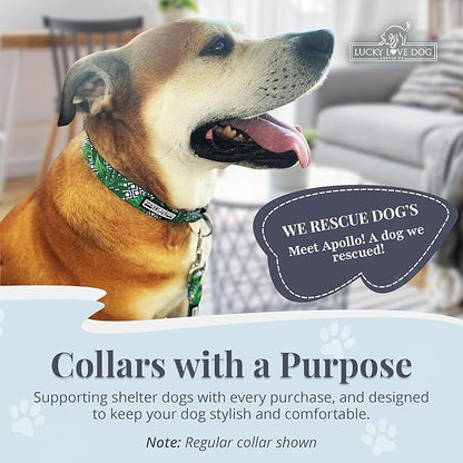 Lucky Love Dog Collar and Leash Set, Beautiful & Vivid Patterns, Easy On & Off Clasp Accessory (Blue Laguna, L Combo)