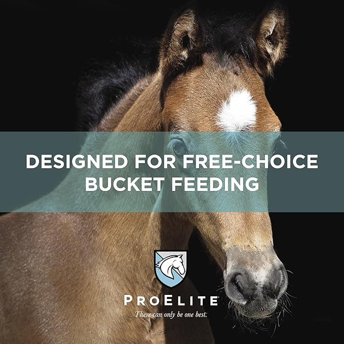 ProElite Foals First Milk Replacer Powder 22lb