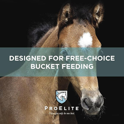 ProElite Foals First Milk Replacer Powder 22lb