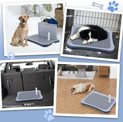 Pee Pad Holder, Indoor Potty Tray for Puppy and Small Size Dog with Pee Wall, Non-Skid Feet, 20 * 15.4 * 1.4 inch (Large)