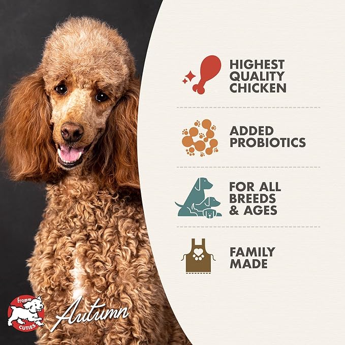 Fromm Four-Star Nutritionals Chicken au Frommage Dog Food - Premium Dry Dog Food - Chicken Recipe - 12 lb