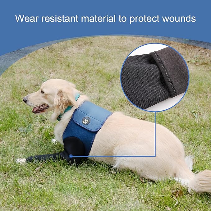 Coodeo Dog Recovery Suit, Cone Collar Alternative, Abrasion Resistant Dog Recovery Sleeve, Washable 2.5mm Thick and Waterproof, Pet Wounds Prevent Licking, Bite, Keep Dry（Blue，XS