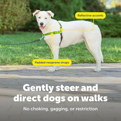 PetSafe Deluxe Easy Walk Harness - Trainer-Trusted Dog Chest Harness with Breathable Martingale Loop Design - Helps Stop Pulling with No Choking & Gagging - Medium/Large - Apple