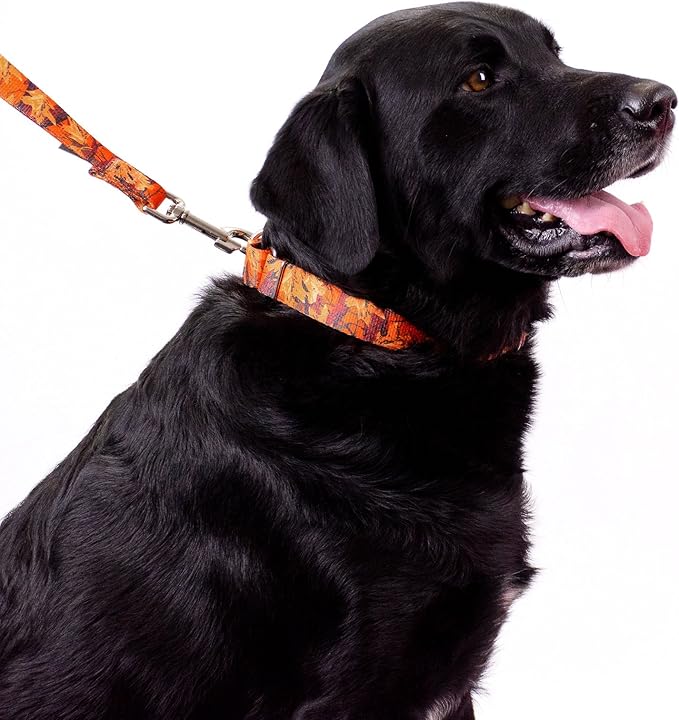 Country Brook Petz - Orange Sunset Camo Martingale Dog Collar and Leash - Camouflage Collection Featuring Rugged Designs (1 Inch, Large)