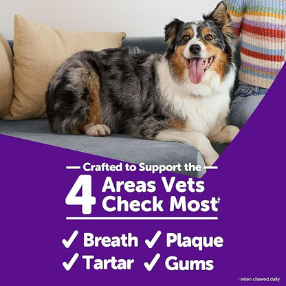Whimzees Wellness Brushzees Dog Dental Treat, VOHC Accepted Chews, Freshens Breath, Medium Size, 4.2 oz Bag, 4 Count