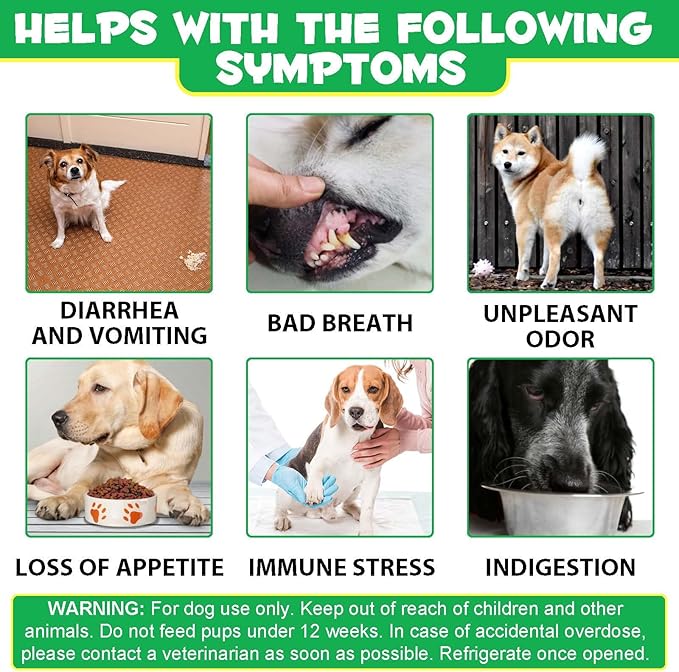 Probiotics for Dogs - Pre & Probiotic Digestive Treats for Dog, Support Gut Health, Seasonal Allergies, Itchy Ears, Dog Supplement Soft Chews, Immune Function Support for Dogs - 120pc/Duck Flavor