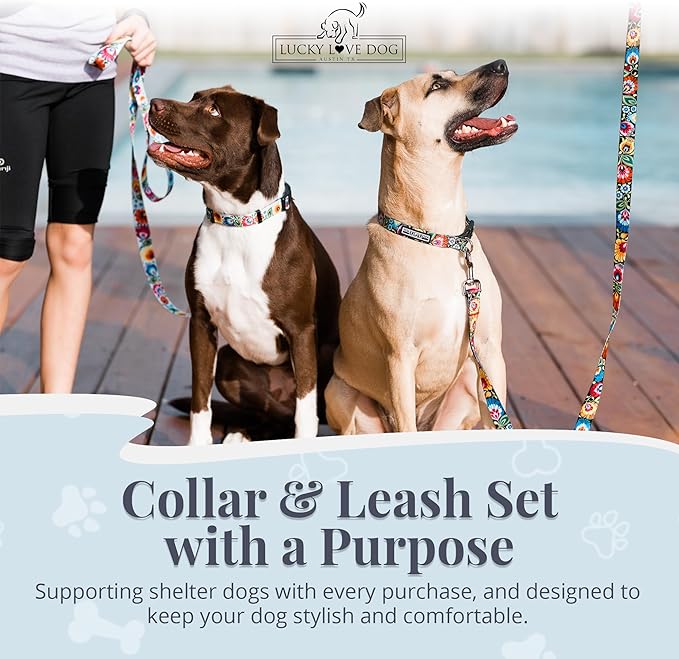 Lucky Love Dog - Easy Click Buckle Dog Collar with Leash Set Combo, Durable & Comfortable for Male & Female Dogs, Pet Collar for Small Dogs, Secure Fit - Blackbird Combo, Small