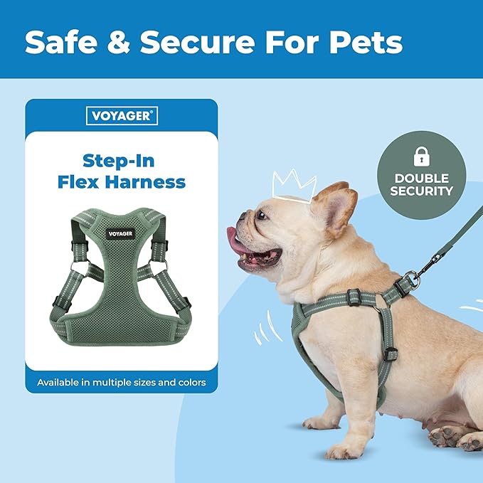 Best Pet Supplies Voyager Adjustable Step-in Flex Breathable Mesh Dog Harness for Small Medium Large Dogs Moss Green, XS